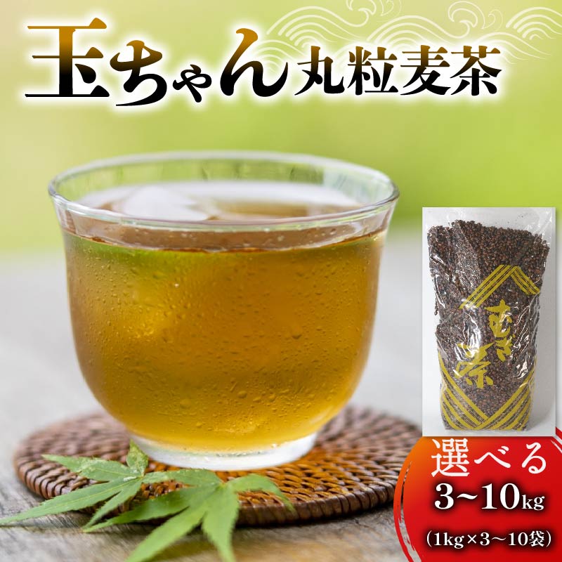 【ふるさと納税】 選べる容量 麦茶 玉ちゃん 丸粒麦茶 1kg入れ 3-10個 飲料 むぎ茶 煮出し 八木音 静岡県 健康茶 国産 ティーバッグ ティーパック 麦茶パック むぎちゃ 茶葉 お茶 ドリンク 夏 冷茶 熱中症対策 藤枝市 静岡県