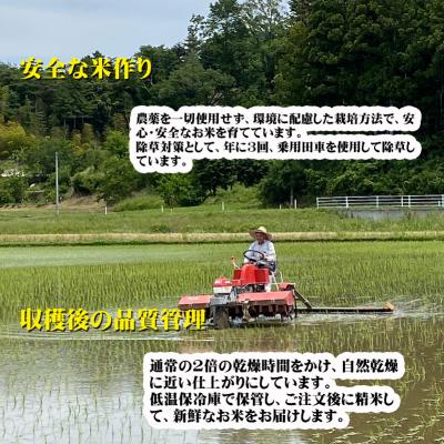 ふるさと納税 南相馬市 【令和6年産】JAS有機米 コシヒカリ・天のつぶ 食べ比べセット 玄米【3005401】 |  | 02