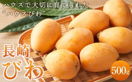 【先行予約 2026年3月下旬より順次発送】長崎ハウスびわ 500g | びわ びわ