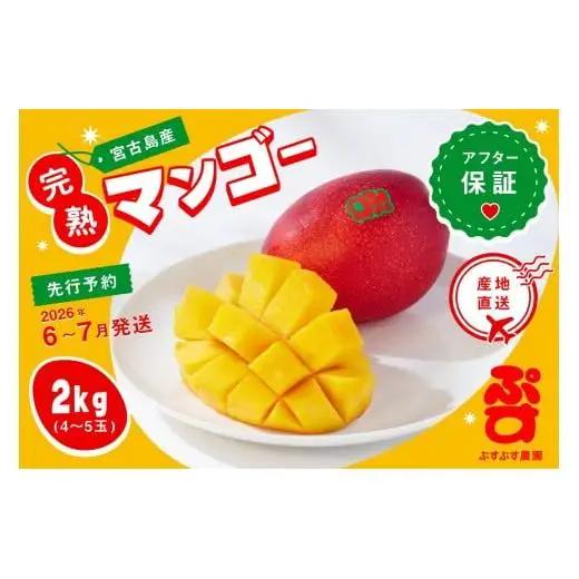 【ぷすぷす農園】＜2026年発送先行予約＞宮古島産完熟マンゴー(家庭用／2キロ／農園直送)（KY002）