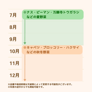 年間を通した野菜作り「土の学校」（1組5名まで） 〈 学び 食育 収穫 農業 野菜 子供 親子 農作物 ふるさと納税 柏 〉