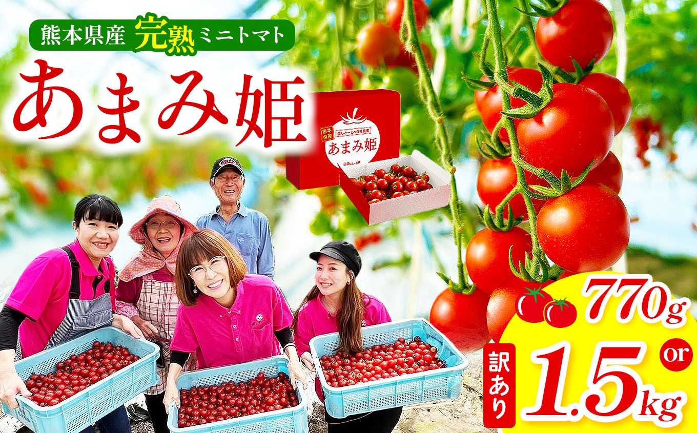 
                  選べる 内容量 熊本県産 完熟ミニトマト「あまみ姫」770g or 【訳あり】 1.5kg | 野菜 やさい トマト とまと アイコ 人気  生産者直送 産地直送 熊本県 玉名市
                