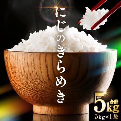 ふるさと納税 八代市 令和8年産 熊本県産 にじのきらめき 5kg 精米 お米 白米 _132-6731-B