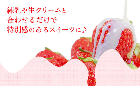 和歌山県産 まりひめ苺 ゆりかーご入り 1パック いちご イチゴ 株式会社ふるーつふぁーむわかやま 《12月下旬-5月中旬頃出荷》 和歌山県 紀の川市