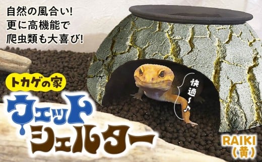トカゲの家 ウェットシェルター 黄 爬虫類 | ペット トカゲ とかげ ペット用品 爬虫類用 シェルター 隠れ家 飼育用品 家 カビ抑制 観察 陶器 おしゃれ おうち デザイン 飼育 黒地 レオパードゲッコー レオパ フトアゴ イモリ カエル ヘビ 脱皮 作家 アーティスト ギフト 作品 手仕事 陶芸 インテリア オブジェ 自然 ナチュラル イエロー yellow セキグチタカヒト 埼玉県 北本市
