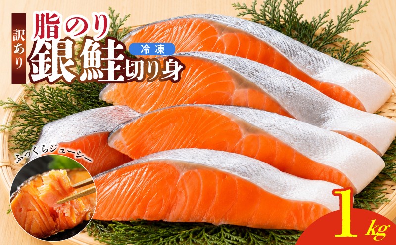 
                  訳あり 鮭 切り身 1kg セット 銀鮭 サケ 銀サケ ｻｰﾓﾝ 冷凍 切り身 ハラス カマ 魚 魚介 海産物 おかず おつまみ 酒の肴 朝食 ごはんのお供 宮城県 岩沼市 ふるさと納税鮭 送料無料 【57040883】
                