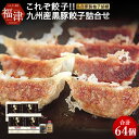 【ふるさと納税】これぞ餃子！！ 九州産黒豚餃子詰合せ (福津の極み認定商品)＆自家製柚子胡椒 16個×4パック 合計64個 特製たれ 柚子胡椒 付き 福津の極み認定商品 冷凍 豚 黒豚 餃子 ぎょうざ ギョーザ 惣菜 中華 送料無料 [F3211]