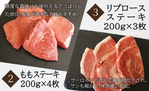 3回 定期便 宮崎牛 ステーキ 3ヶ月 コース 合計 2kg [SHINGAKI 宮崎県 美郷町 31ag0084] 牛肉 宮崎牛 サーロイン もも リブロースステーキ 黒毛 和牛 国産 宮崎 A4 