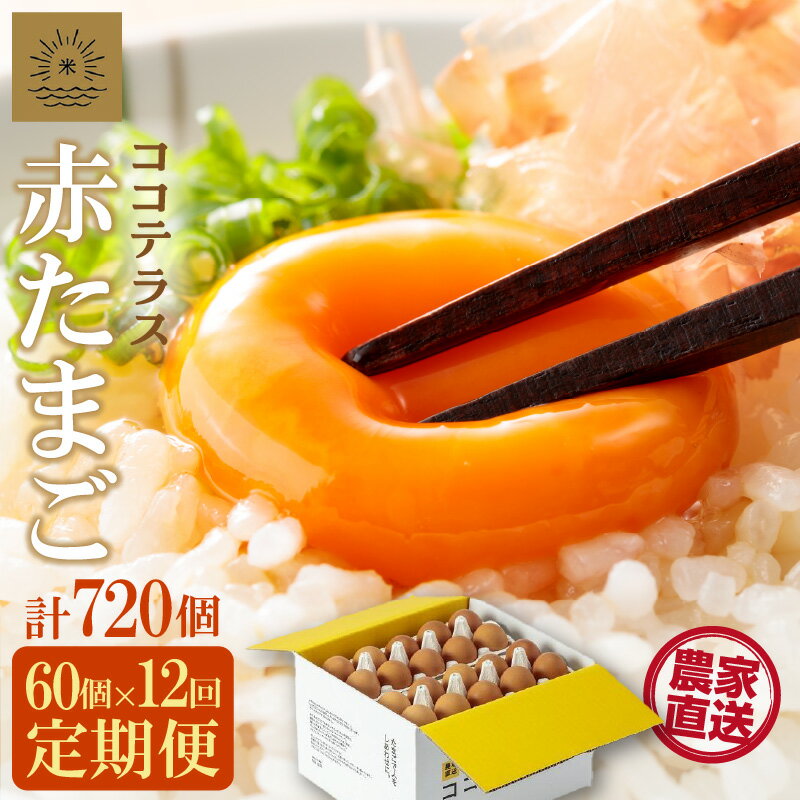 【ふるさと納税】【12ヵ月定期便】《テレビで紹介されました！》ココテラスの明日（ 赤たまご ）55個 + 5個保証【計60個】【 JGAP認証 】農家直送 新鮮 卵 純植物性飼料 飼料にこだわった 卵かけご飯 米たまご 大容量 卵 定期 送料無料