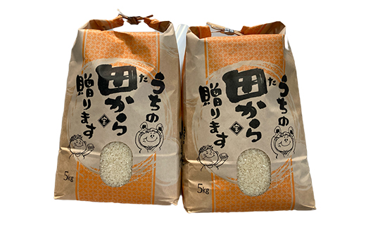新米令和5年 『定期便』至福のササニシキ（精米）5kg×2袋 全6回 米 お米 おこめ ふるさと納税 山形県 新庄市 F3S-1596