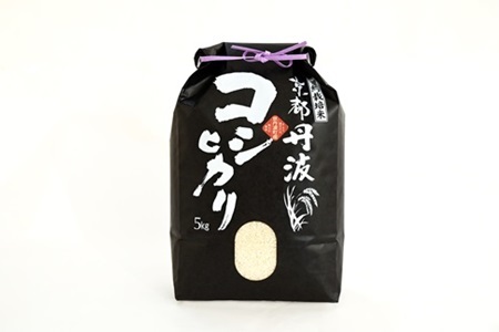 【3カ月定期便】京丹波こしひかり 5kg×3カ月連続 合計15kg 京都 米 精米 コシヒカリ ※北海道・東北・沖縄・その他離島は配送不可 [030MB001R]