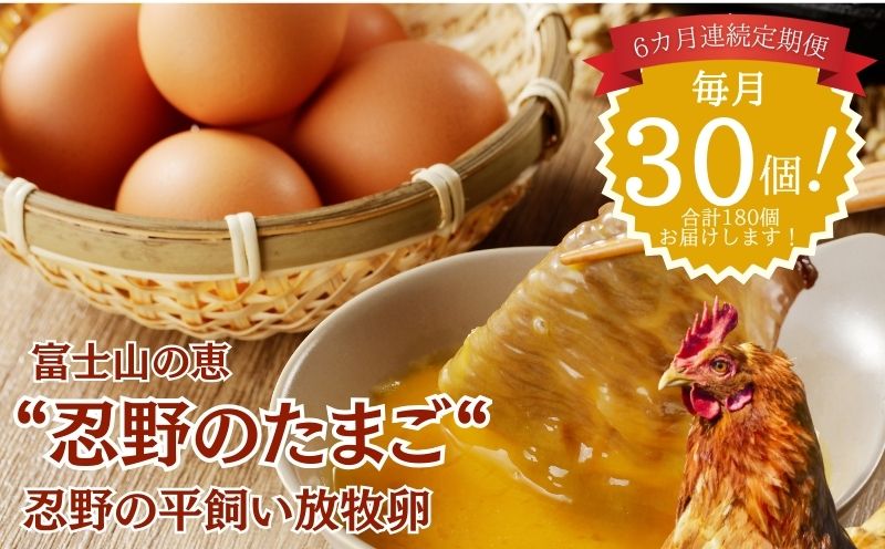 【定期便】忍野の平飼い放牧卵　6か月連続定期便（毎月30個×6か月　合計180個）||　　鶏卵　都留　忍野　新鮮　こだわり　名水　卵　たまご　玉子　タマゴ　大容量　お得　おしののたまご　濃厚　平飼い