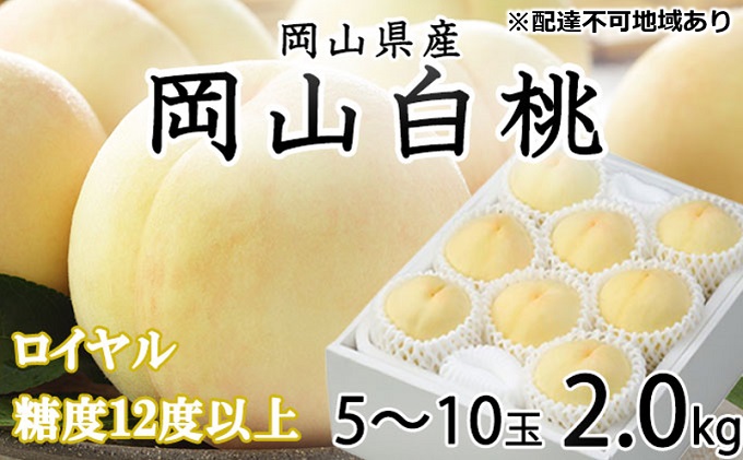 桃 2024年 先行予約 岡山 白桃 ロイヤル 5～10玉 約2kg JAおかやまのもも（早生種・中生種） もも モモ 岡山県産 国産 フルーツ 果物 ギフト