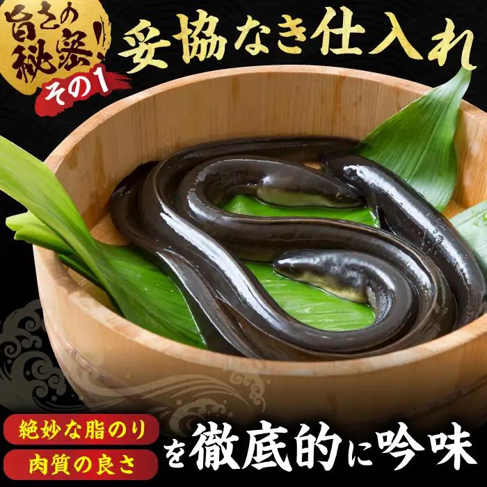 特大うなぎ蒲焼（220g×2尾） / うなぎ ウナギ 鰻 [AFBS005]