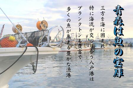 青森県八戸産 真いか一夜干し 塩風味 1枚入り（2パック） 八戸市産 青森県産 東北産 冷凍 送料無料