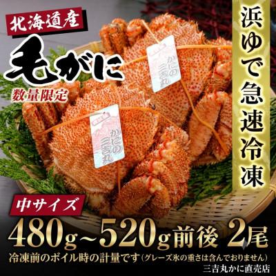 ふるさと納税 白老町 【浜ゆで自社タグ付】北海道産ボイル毛ガニ480g〜520g前後×2尾 冷凍
