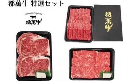 都萬牛　特選セット　ステーキ・スライス・焼肉　国産牛肉＜5-3＞