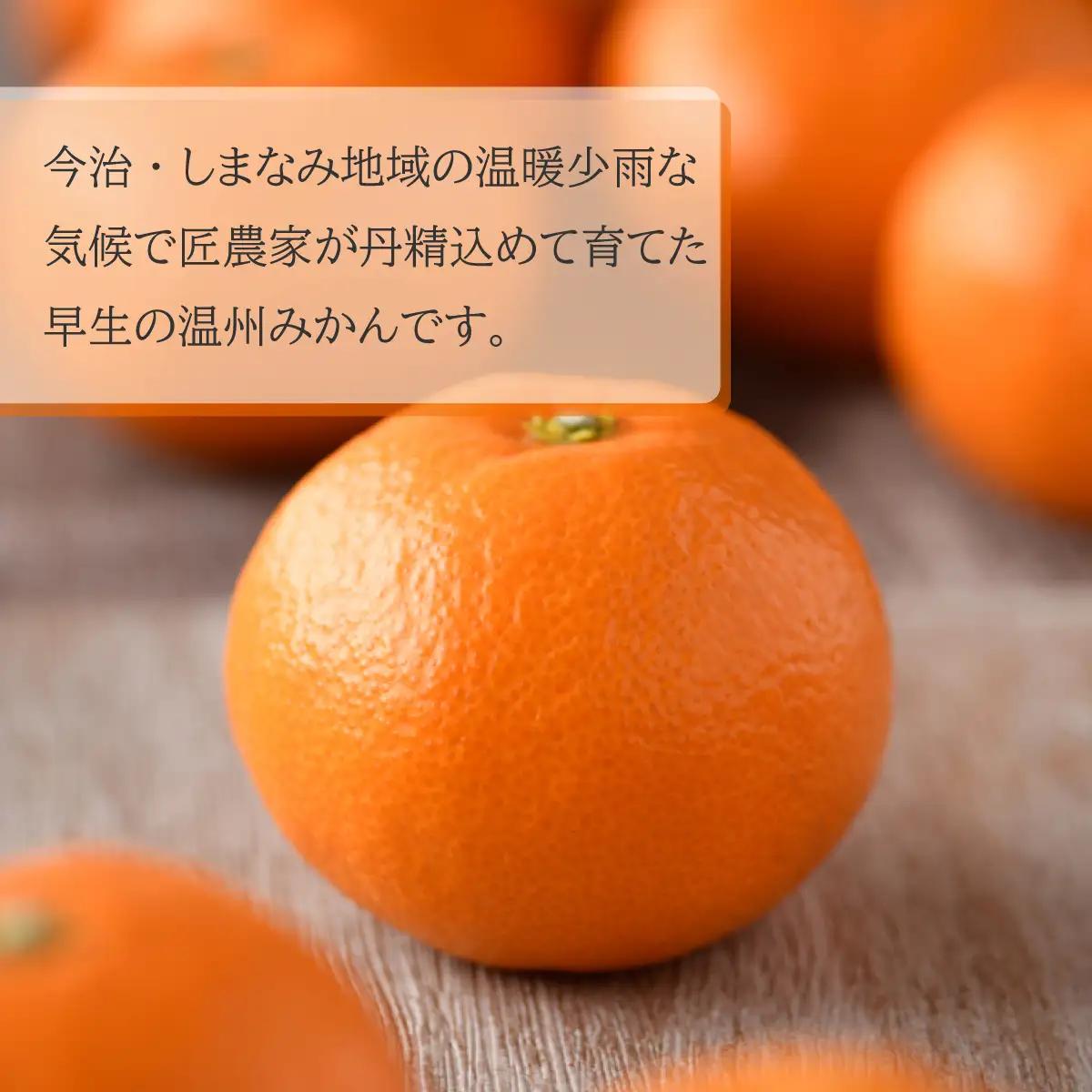 みかん 【先行予約】瀬戸内の温州みかん10kg　L～S　JA選果品
