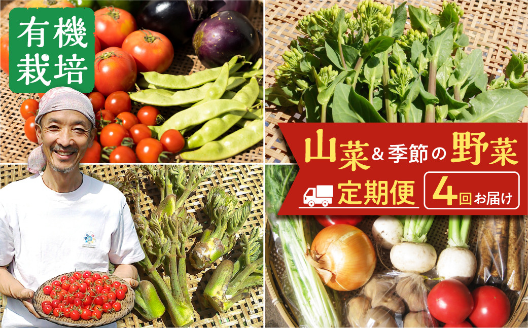 
                  栄養価コンテストグランプリ農家がお届けする「飛騨の四季 山菜と野菜尽くしセット」定期便 年4回　飛騨　ありがとうファーム
                