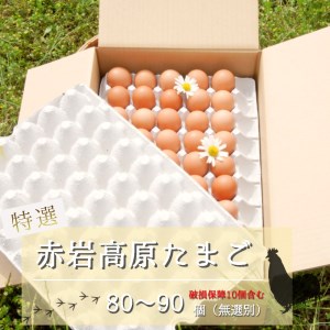 赤岩高原たまご 80～90個入 破損保証10個を含む 卵 赤たまご