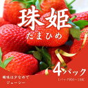 【ふるさと納税】いちご 苺 珠姫（たまひめ）×4パック 甘い 大粒 イチゴ めいとく農園 奈良県 奈良市 奈良 なら 12-060