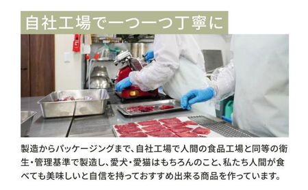 愛犬愛猫用副食 馬ハツレバーせんべい 20g×5個 ペット ペット用おやつ ペットフード 愛犬 愛猫 わんちゃん ねこちゃん 犬 猫 馬ハツレバー 馬肉 ご褒美   