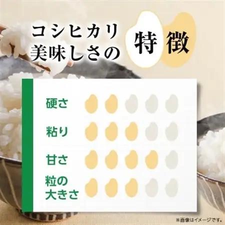 令和7年産かすみがうら市産コシヒカリ  精米  10kg_茨城県産 こしひかり 10kg 米 ご飯_【1268976】