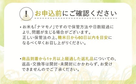 新米 米 はえぬき 無洗米 10kg 5kg×2袋 山形県 尾花沢市産 令和6年産 2024年産 kb-hamxb10