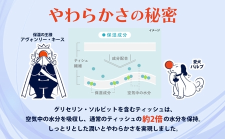 定期便 隔月2回 保湿ペーパー アヴォンリーキース ボックスティッシュ 10箱 河野製紙 ティッシュ ペーパー ちり紙 やわらかい まとめ買い 備蓄 日用品 常備品 消耗品 大容量 防災 花粉症 鼻炎