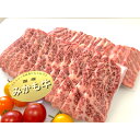 【ふるさと納税】「みかも牛」焼肉用600g(300gx2)【配送不可地域：離島】【1257319】