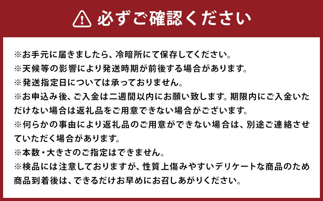 紅はるか 秀品 約10kg