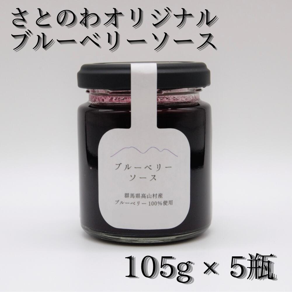 【ふるさと納税】ブルーベリーソース＊105g × 5瓶