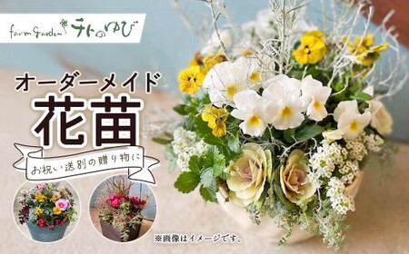 オーダーメイド型（花苗） 花 寄せ鉢 贈り物 プレゼント 記念日 お祝い