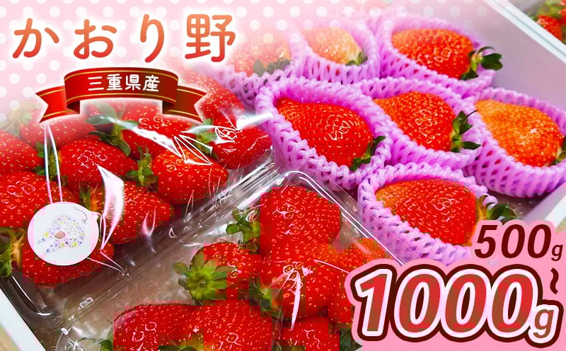 
            【数量限定】 いちご 500g～1kg 選べる容量 かおり野 苺 イチゴ ストロベリー 三重県産 ichigo strawberry 2月より順次発送 三重県 6000円 六千円 10000円以下 一万円以下
          