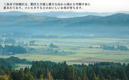 先行予約 コシヒカリ 5kg 新潟県三条市下田産こしひかり 令和7年産 新潟県産コシヒカリ 精米 白米 三条市下田産コシヒカリ【010S180】