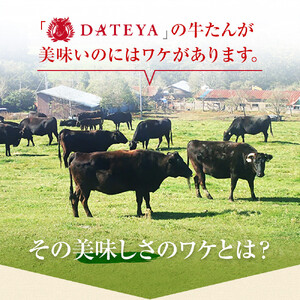 牛タン 切り落とし 250gx3袋 | 牛タン DATEYA