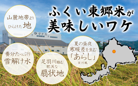 【胚芽付米】【定期便6ヶ月連続】【先行予約】令和6年産 新米 ふくい東郷米 特別栽培米 農薬70％減 コシヒカリ 6kg(3kg×2袋)×6ヶ月 合計36kg[J-020023_03]