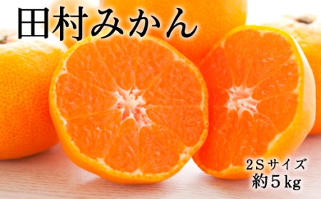 【ブランドみかん】田村みかん約5kg（2Sサイズ・秀品）【2023年11月下旬～2023年12月下旬頃より順次発送】【tec881】