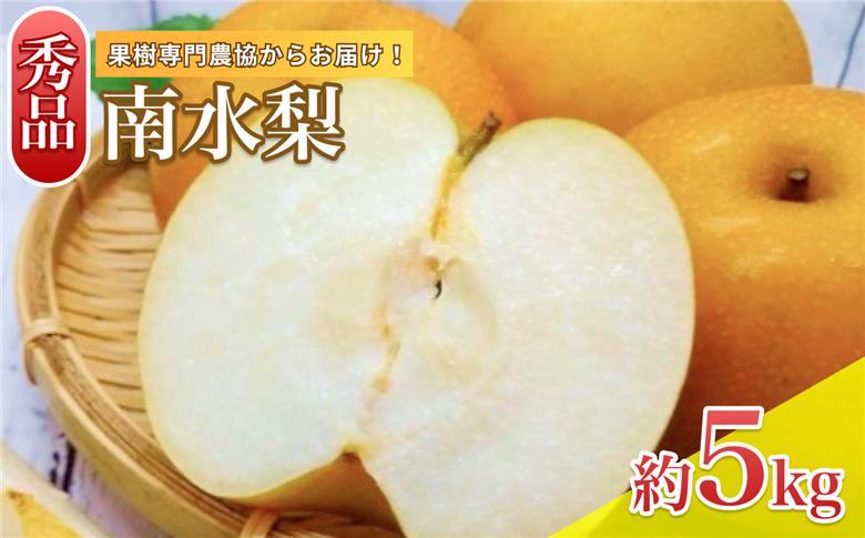 【9月上旬から発送予定】南信州生まれのジューシーで甘い梨「南水梨」 約5kg 12～14玉 糖度14.0以上 | 果物 くだもの フルーツ 南水梨 梨 なし ナシ 新鮮 長野県 信州 南信州 飯田市