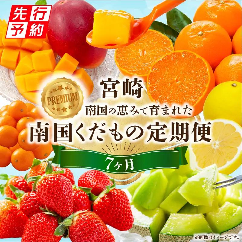 定期便 くだもの7ヶ月 定期便[2027年発送先行予約 数量・期間限定 南国]