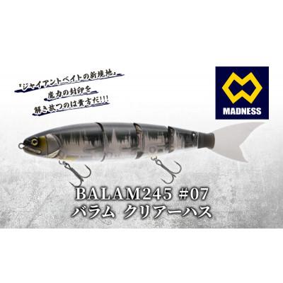ふるさと納税 京田辺市 BALAM245 #07 バラム クリアーハス 〈マドネス、ビックベイト、釣り、ルアー〉