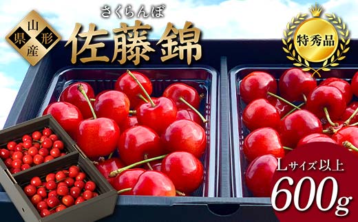 【2025年先行予約】さくらんぼ「佐藤錦」600g 特秀品 Lサイズ以上 山形県産 FSY-1206