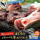 【ふるさと納税】【全6回定期便】まぐろ おまかせバーベキューセット 冷凍約2kg 鮪 マグロ BBQ 魚 横須賀【本まぐろ直売所】[AKAK030]