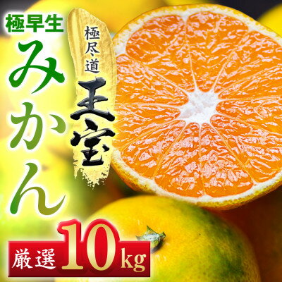 【ふるさと納税】【愛媛名産】極早生みかん 10kg【F64-20】【1510675】