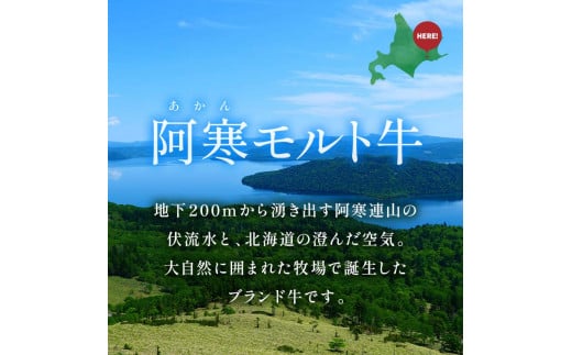 阿寒モルト牛スペシャルコース（5カ月連続 定期便 ） ステーキ サーロイン ロース カレー 肉 牛 北海道 F4F-4181