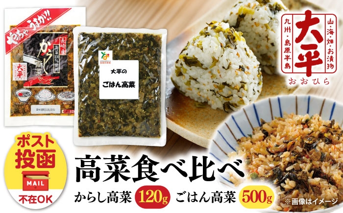 
                  【長崎県産高菜100%使用】 高菜漬け 食べ比べ セット 620g (からし高菜 120g ごはん高菜 500g) / 漬物 高菜 漬け物 ご飯のおとも 惣菜 / 南島原市 / 大平食品 [SAK008]
                