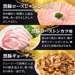 【B06001】鹿児島県産黒豚ロース＆餃子セット 鹿児島県 国産 九州産 黒豚 豚肉 ポーク ロース とんかつ しゃぶしゃぶ 餃子 ギョーザ ぎょうざ バラエティ セット 詰め合わせ 鹿児島 ギフト 