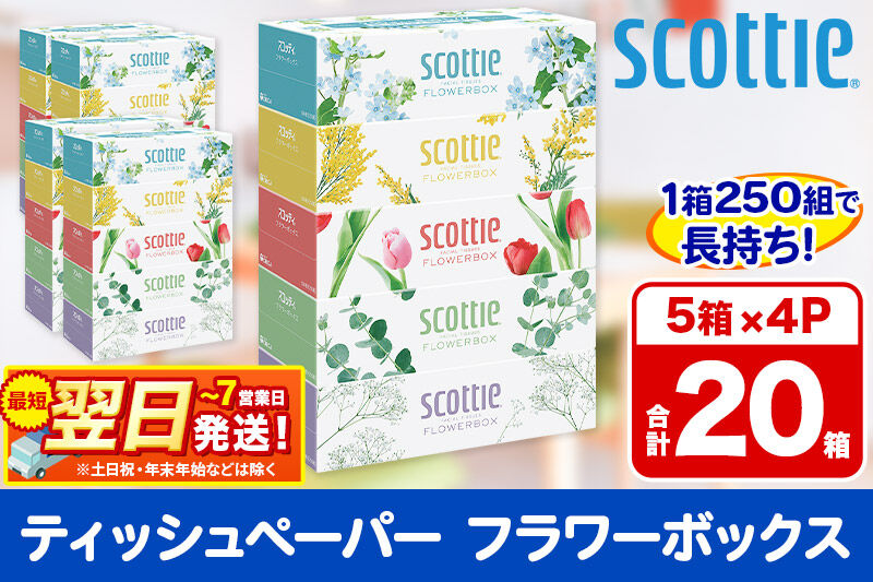 ティッシュペーパー スコッティ フラワーボックス250組 20箱(5箱×4パック) ティッシュ 秋田市オリジナル 最短翌日発送 [ティッシュ スコッティ(SCOTTIE) スコッティティシュー 新生活