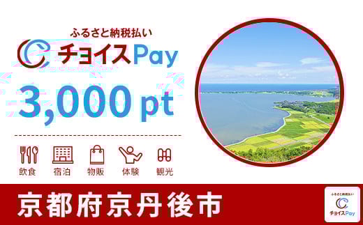 
            京丹後市チョイスPay 3,000pt【会員限定のお礼の品】
          