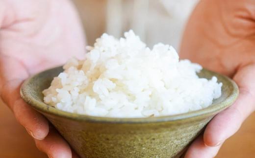 【早期予約】令和8年産 丹波篠山産コシヒカリ 玄米 5kg×12回 計60kg 丹波篠山市 ふるさと納税 株式会社　丹波篠山大内農場西の魚沼と呼ばれる 丹波篠山産 コシヒカリ！